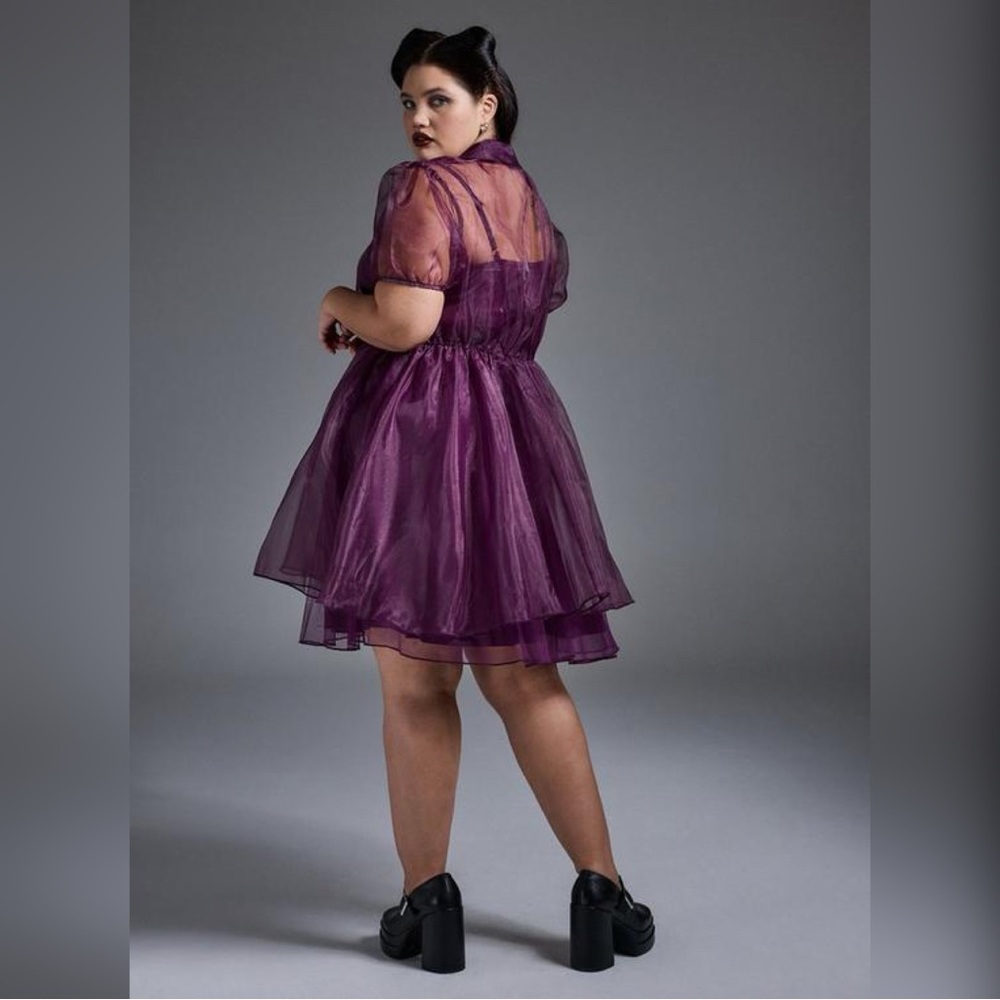 Sheer Organza A-Line Dress in Nightfall Purple - Picture 2 of 5